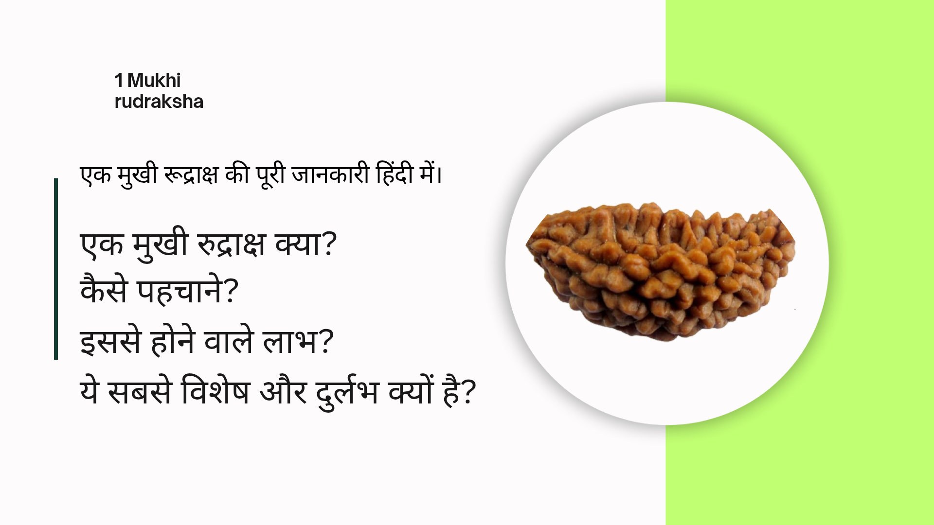 एक मुखी रुद्राक्ष: अनसुनी बातें,दिव्यता, धन और शांति का प्रतीक